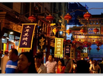 4-5 hours Layover Night Trip in Beijing with English Driver