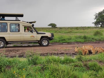 4 Days / 3 Nights – Safari on the Serengeti Plains via Ngorongoro Crater