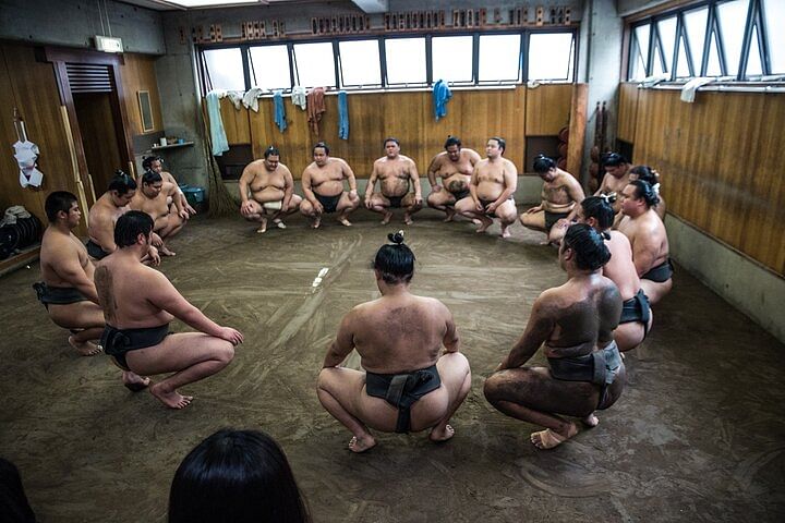 Tokyo Sumo Morning Practice Tour at Stable