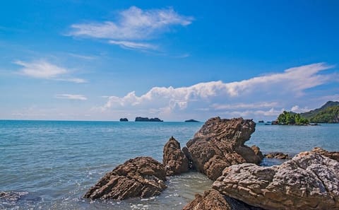 Tuba Island Secrets – Private Discovery Tour Plus Authentic Lunch