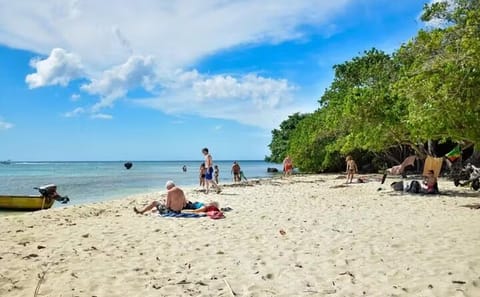 Booby Cay Island Boat Tour with Open Bar & Fresh Seafood Lunch