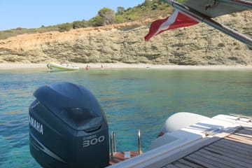 Private Snorkeling and Swimming Cruise in Athens