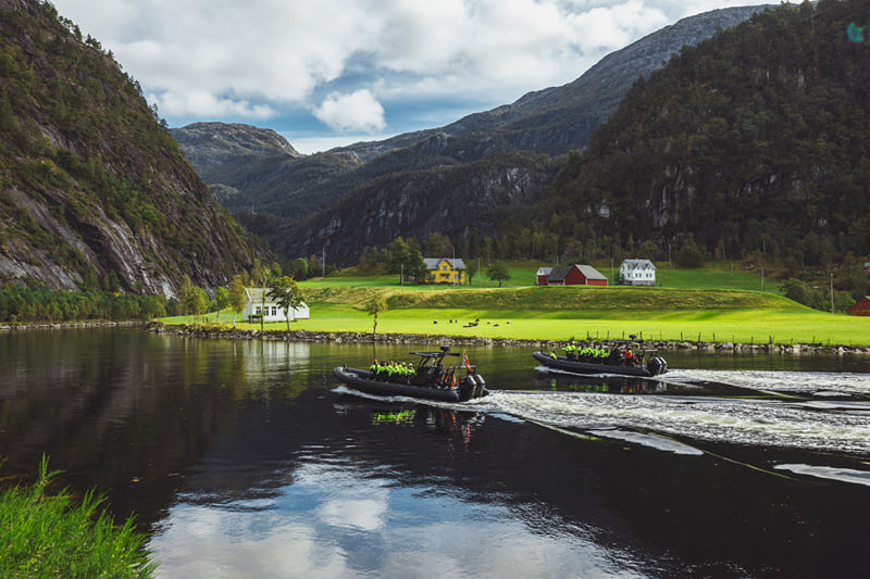 Mostraumen Fjord Safari - by Premium RIB Boat