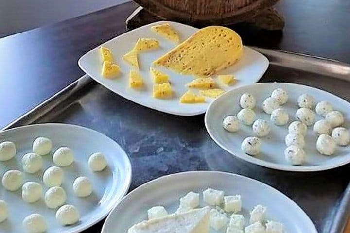 Food tasting and cultural tour Inishmore, Aran Islands. Private guided 8