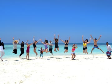 Sandbank, Snorkeling, Dolphin Cruise, Local Island Tour