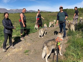 Hiking with Husky in Akureyri (private), photo 6