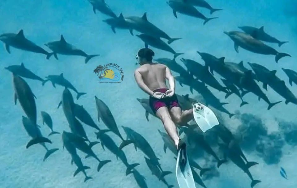 Dolphin Watching and Snorkeling Tour at Mnemba Island, Zanzibar