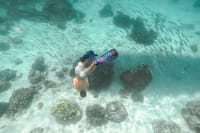 Raya Island Underwater