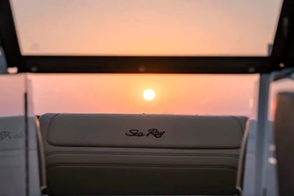 ❖ Sea Ray SDX | Private