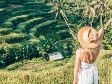 Bali Full-Day Sightseeing Trip with Lunch