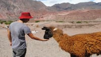 Cafayate, Vineyards and Calchaquies Valleys Tour from Salta 3