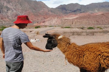 Cafayate, Vineyards and Calchaquies Valleys Tour from Salta