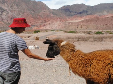 Cafayate Vineyards and Calchaquies Valleys Day Trip from Salta