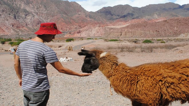 Cafayate, Vineyards and Calchaquies Valleys Tour from Salta 3