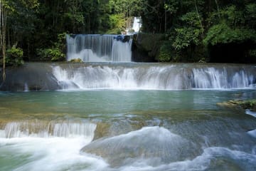 Private Day Tour to YS Falls and Black River from Negril