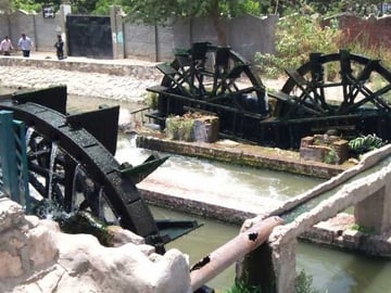 2 Days Camping Trip PRIVATE in Fayoum Oasis from Cairo