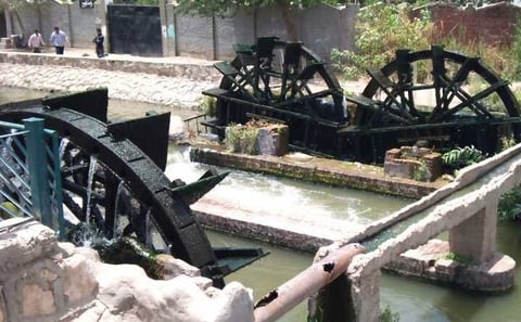 2 Days Camping Trip PRIVATE in Fayoum Oasis from Cairo