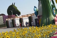 Miracle Garden Global Village with Transportation from Fujairah 5