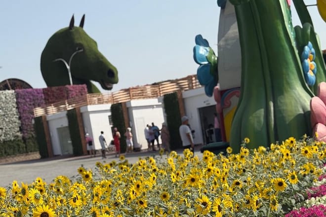 Miracle Garden Global Village with Transportation from Fujairah photo 5