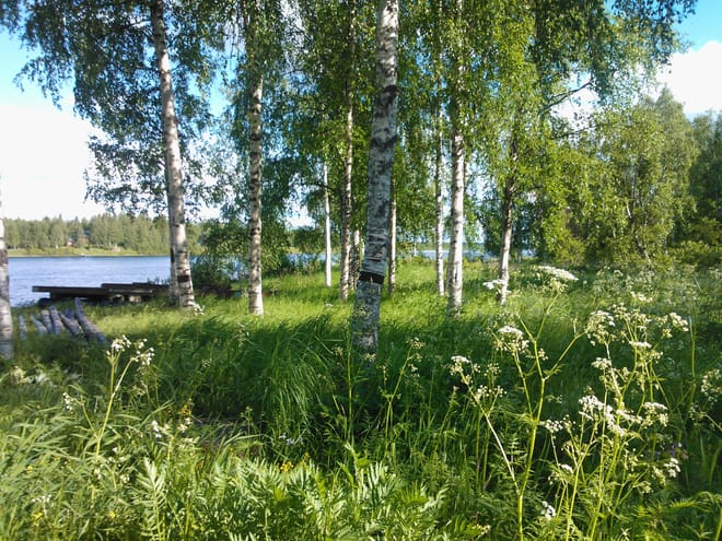 Secrets of Lappish Nature – Ukko-Luosto Fell 8
