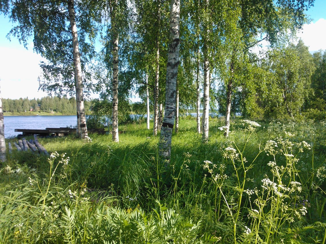 Secrets of Lappish Nature – Ukko-Luosto Fell 8