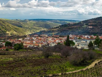 Drive through rural villages and explore the Troodos mountains through wine!