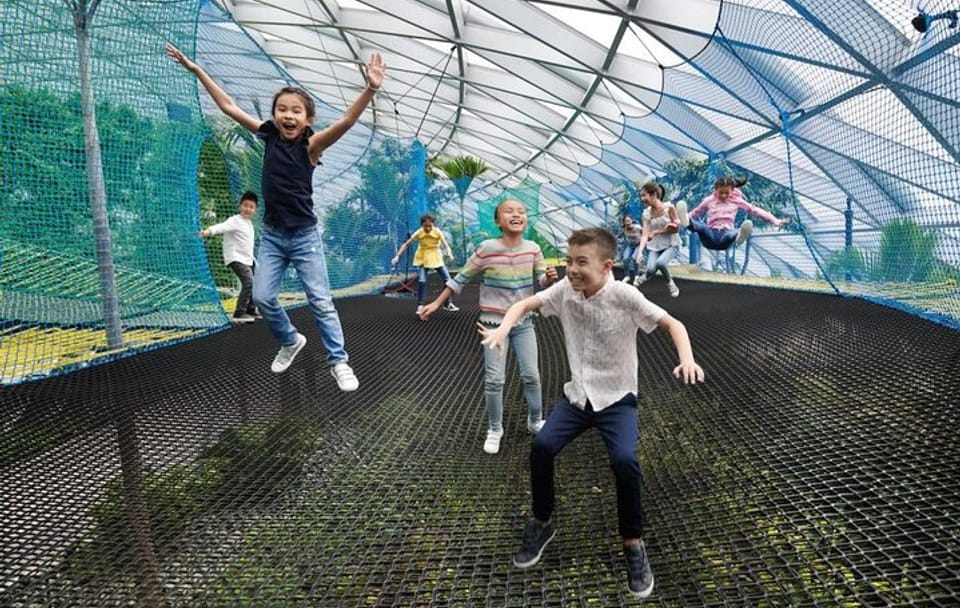 Walking Net Adventure and Canopy Park Access at Jewel Changi Airport