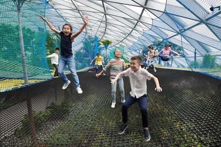 Jewel Changi Airport: Walking Net + Complimentary Canopy Park