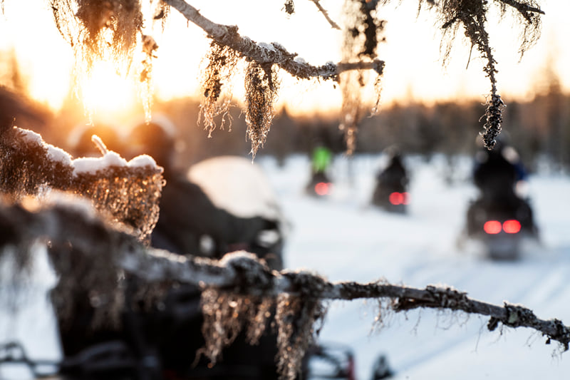Snowmobile Safari to Lainio Snow Village