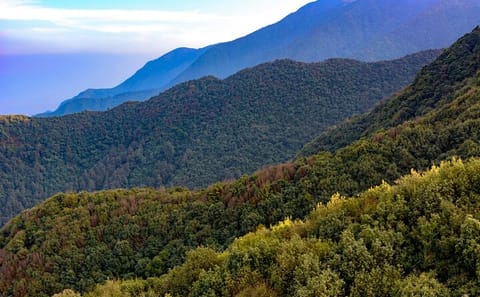 One-Day Guided Hiking Tours in Kathmandu Valley