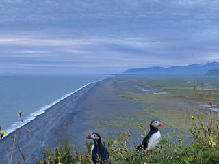South Coast | Private Tour, photo 44