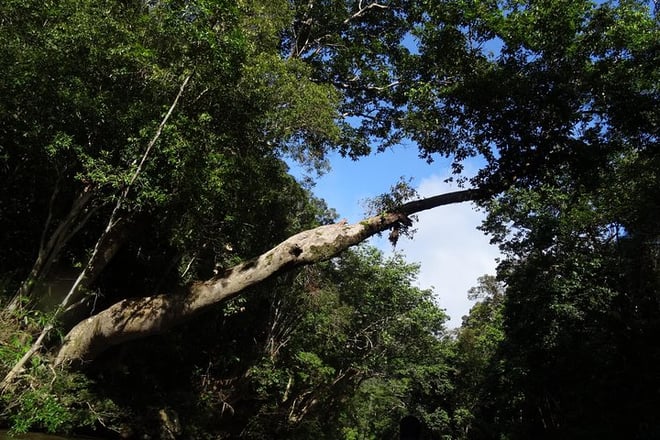 Day Tour Aborigine Village @ Rainforest Taman Negara + Bonus stop Batu Caves (P6)