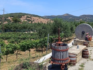 Private Tour of Elafonisi Beach with Cretan Culinary Experience