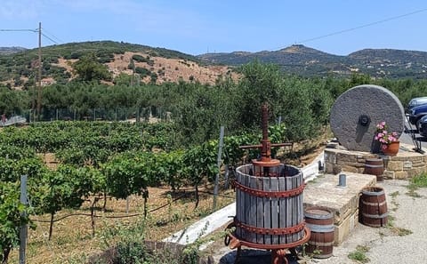 Private Tour of Elafonisi Beach with Cretan Culinary Experience