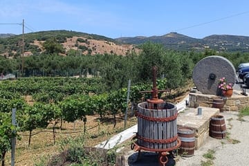 Private Tour of Elafonisi Beach with Cretan Culinary Experience