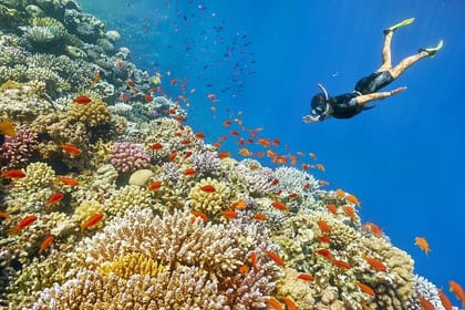 Giftun Island Private Snorkeling Trip from Hurghada with Pickup
