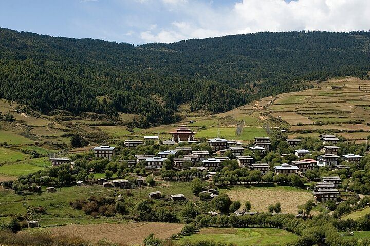 Wild East Rodung La Trek: Journey Through Bhutan's Pristine Mountains