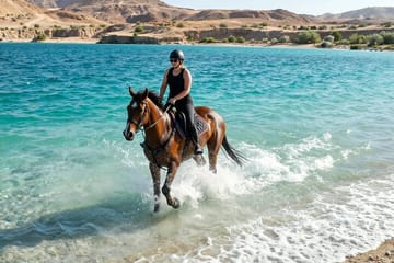 Horseback Riding Adventure in Nabq Bay, Sharm El-Sheikh