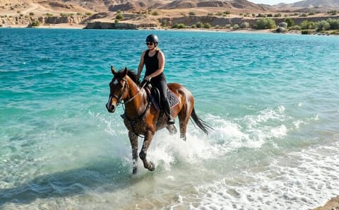 Horseback Riding Adventure in Nabq Bay, Sharm El-Sheikh