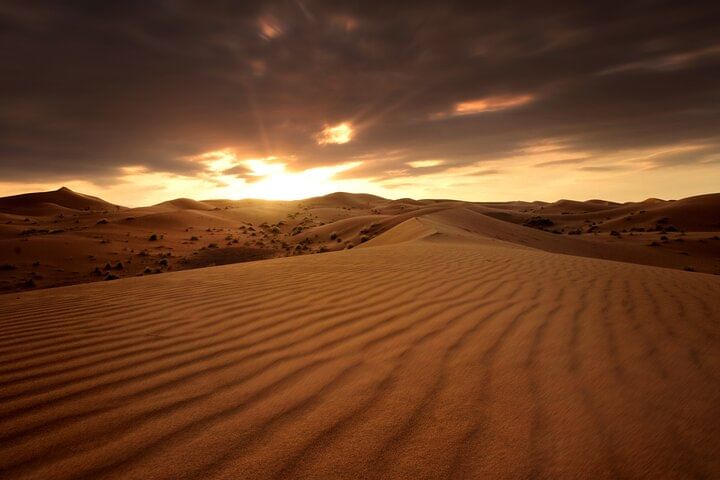 Desert Safari ,Morning, Afternoon, Sunrise, Sunset, Night Options