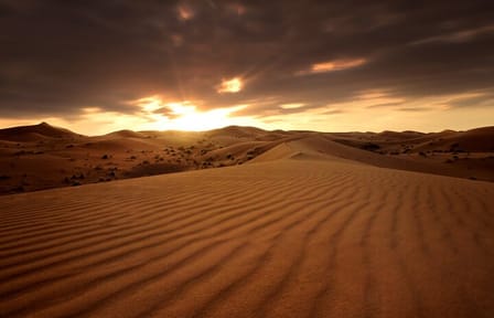 Doha Desert Safari with Dune Bashing and Camel Ride