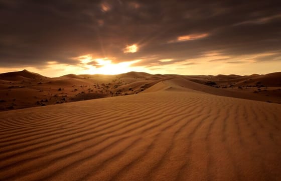 Desert Safari ,Morning, Afternoon, Sunrise, Sunset, Night Options