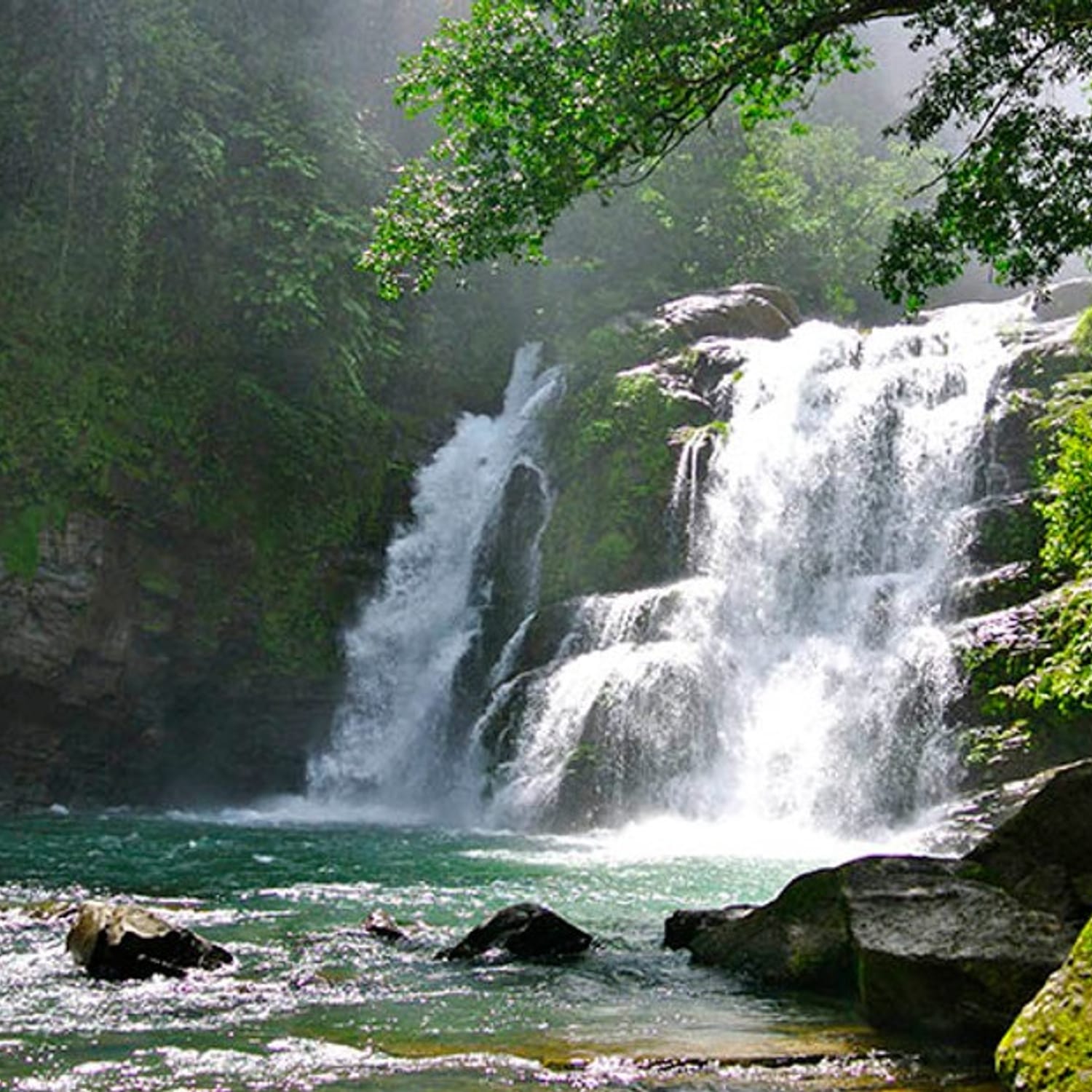 Nauyaca Waterfall Tour from Manuel Antonio