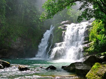 Nauyaca Waterfall Nature Tour from Manuel Antonio