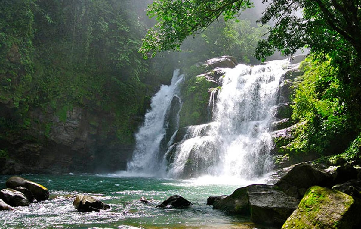 Nauyaca Waterfall Nature Tour from Manuel Antonio