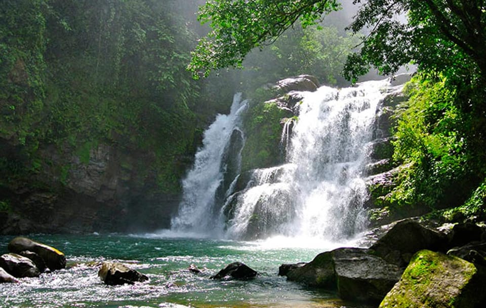 Nauyaca Waterfall Nature Tour from Manuel Antonio