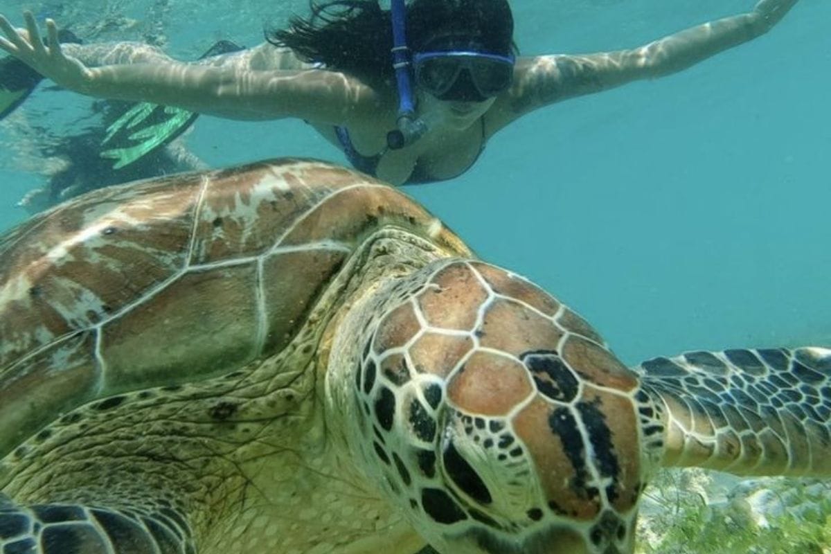 Minicrociera flegrea