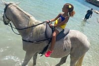  Horseback Riding and Tour from Montego Bay  6