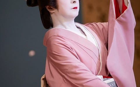 Exclusive Tokyo Geisha Experience in Historic Ryotei in Shinbashi