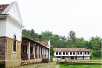 Rural Coffee Farm Tour with Breakfast & Lunch - Roasting & Tasting Experience 10